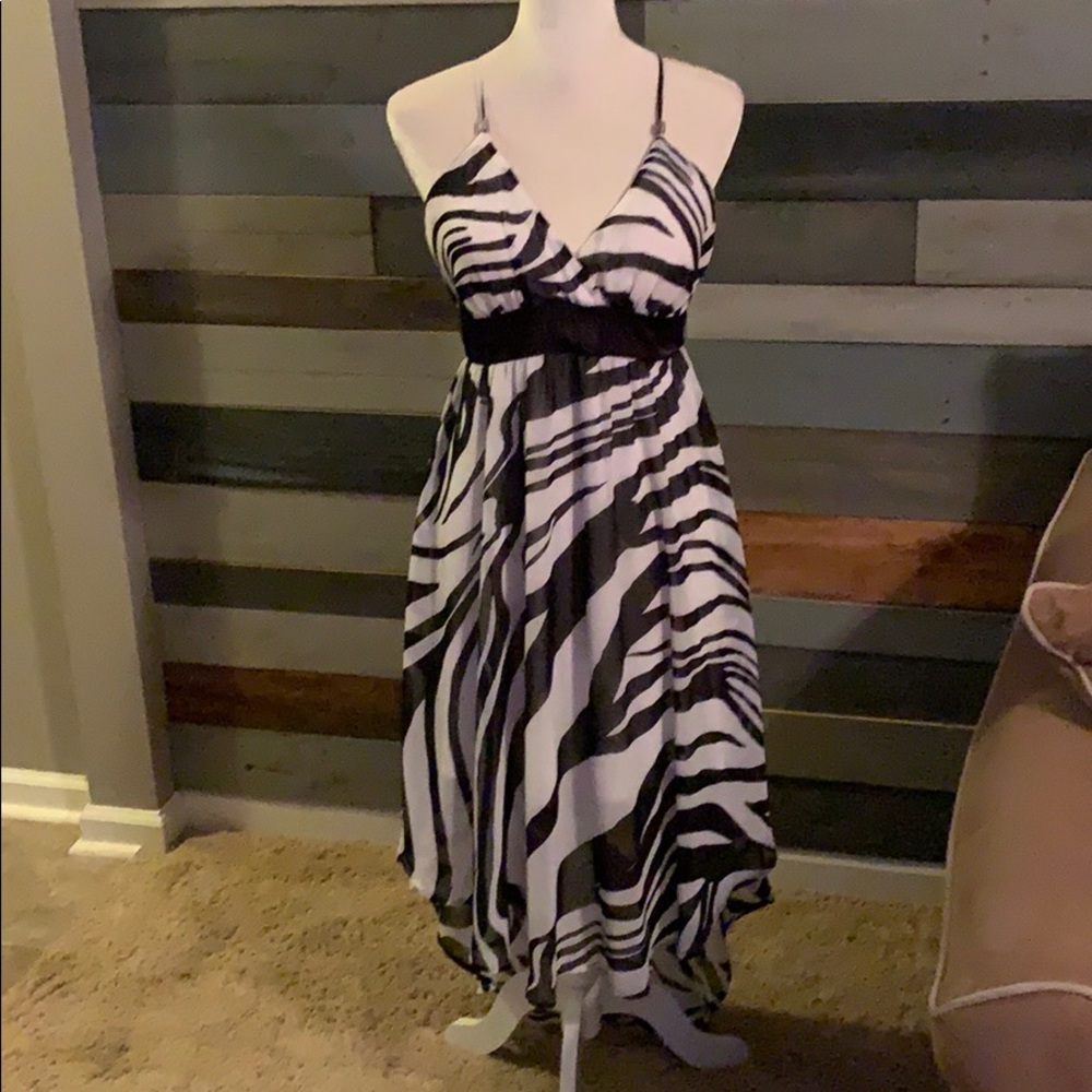 XOXO Zebra print hi/lo dress